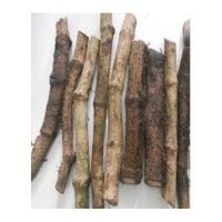 Chuijhal (coarse pulses) 100 gm চুইঝাল (মোটা ডাল) 100 গ্রাম