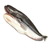 Boal fish(বোয়াল মাছ)900tk/kg (2.5-3Kg)