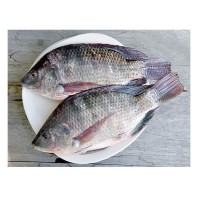 Deshi Telapia Fish/kg(দেশি তিলাপিয়া )