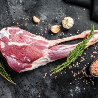  back-image