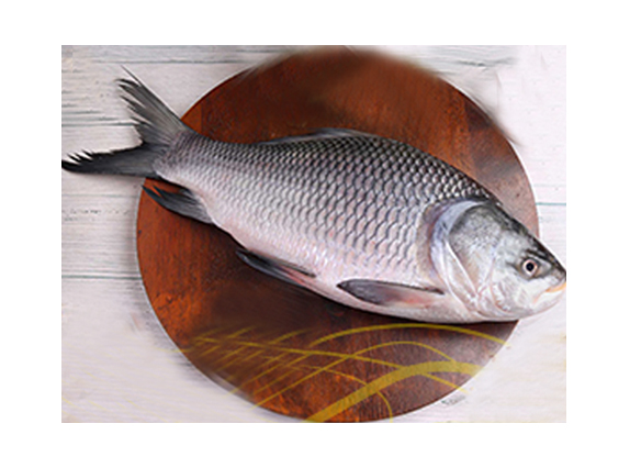 Katla Fish( কাতলা মাছ)  350tk/kg (size 1-1.5Kg )