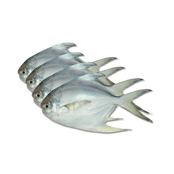 Silver Pomfret fish ( রুপচাঁদা সিলভার ) 6-7 pcs/1kg