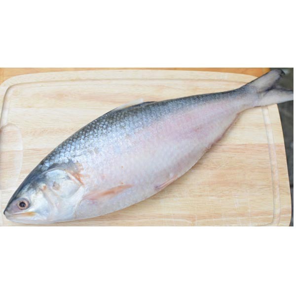 Hilsha Barisal 1000tk/kg (Net Weight1.2kg ± 50 gm)  বরিশাল নদীর ইলিশ (নেট ওজন ± ৫০ গ্রাম) ১.২গ্রাম